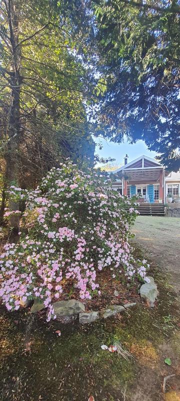 3 Bedroom Property for Sale in Hogsback Eastern Cape